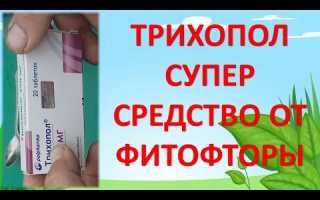 Лечение кошек трихополом