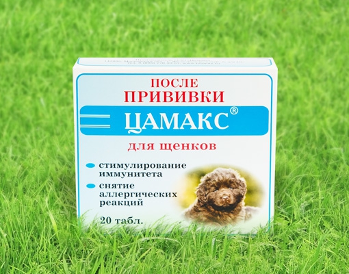 Прививка от кори: виды и правила вакцинации | food and health