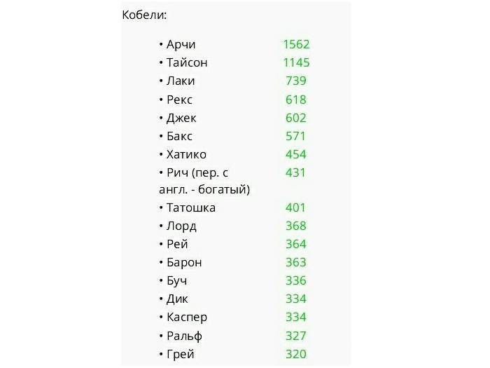 Выбираем кличку для собаки девочки