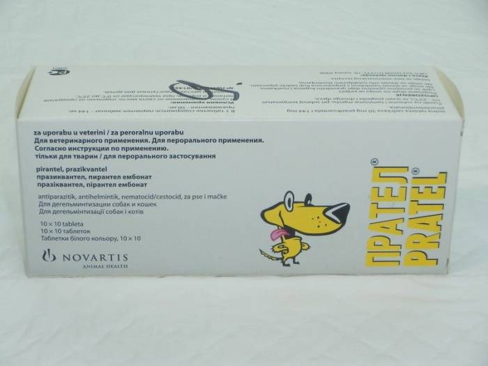 Прател для собак: медикаментозное действие, форма выпуска, противопоказания, стоимость - kupipet.ru