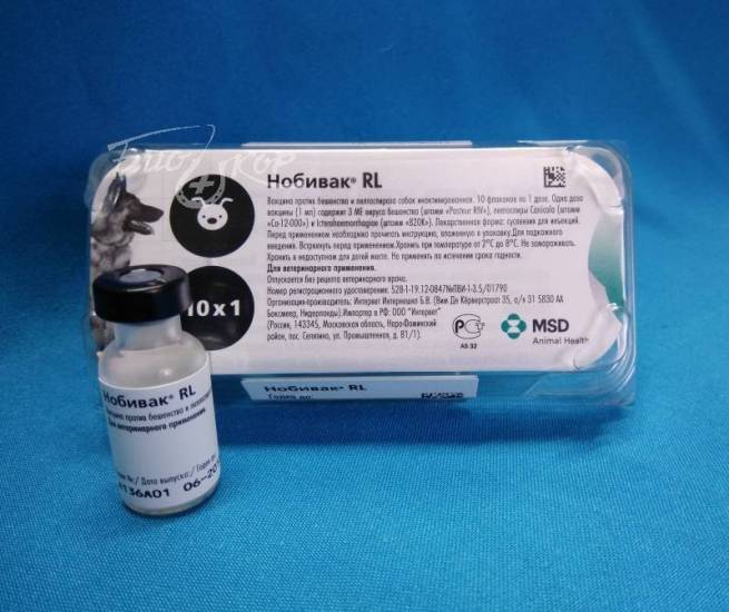8 видов вакцины нобивак для собак: инструкция по применению, описание