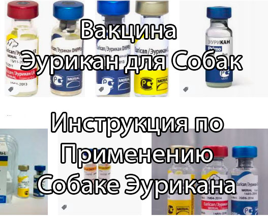 Эурикан для собак