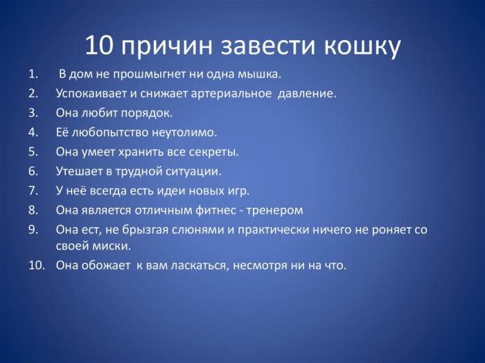 10 причин, почему нужно завести кошку