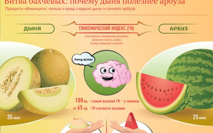 Какие овощи можно давать волнистым попугаям и корелла?