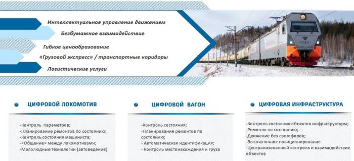 Правила перевозки животных в поездах ржд в 2023 году: документы, сколько стоит