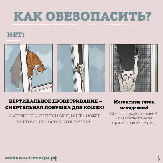 Как обезопасить дом для кошки и от нее
