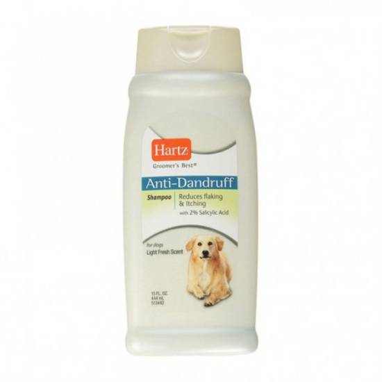 Перхоть у собаки: причины и лечение ⋆ dogkind.ru