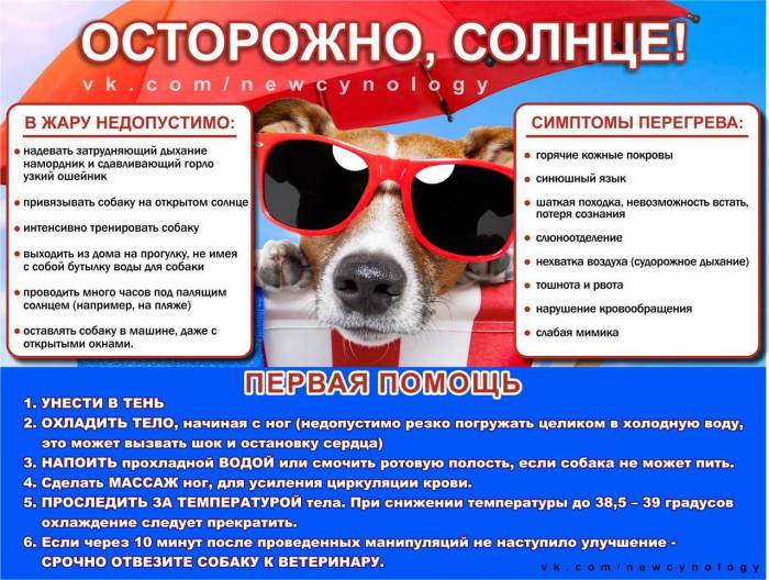 Скачать песню ♥отпетые мошенники♥ - лето это бесплатно и слушать онлайн | gybka.com