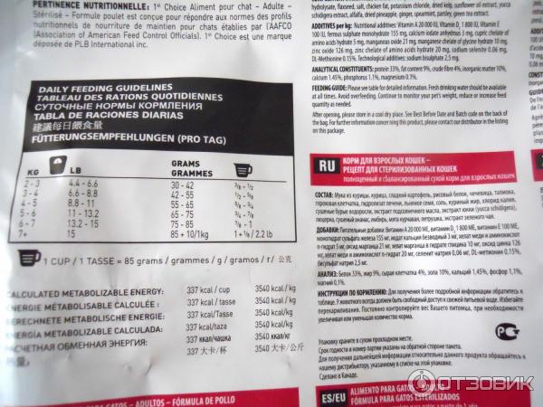 Корм «фест чойс»: можно ли его назвать лучшим кормом для домашних кошек