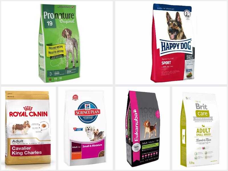 Лучшие сухие корма для собак
