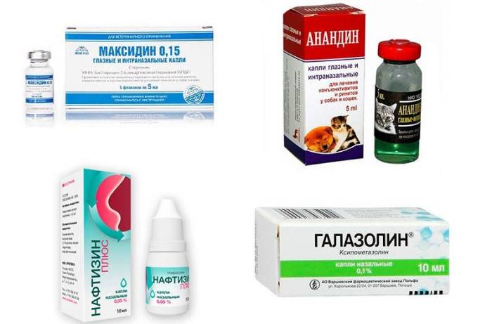 Как лечить насморк — лечение различных видов насморка