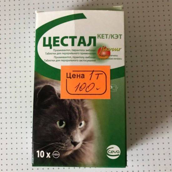 Цестал для кошек: инструкция по применению, дозировки и особенности лечения
