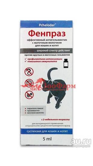 Препарат фенпраз – свойства, состав, показания и противопоказания к приему - все о породах кошек с описанием, фотографиями и названиями.все о породах кошек с описанием, фотографиями и названиями.