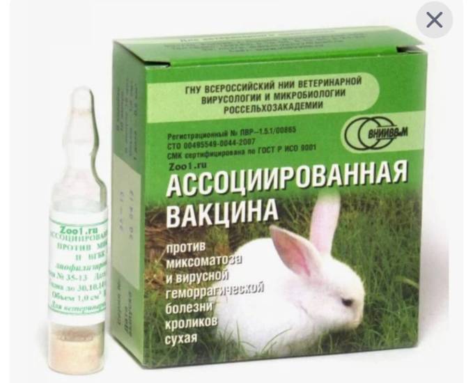 Ассоциированная вакцина для кроликов: описание, применение