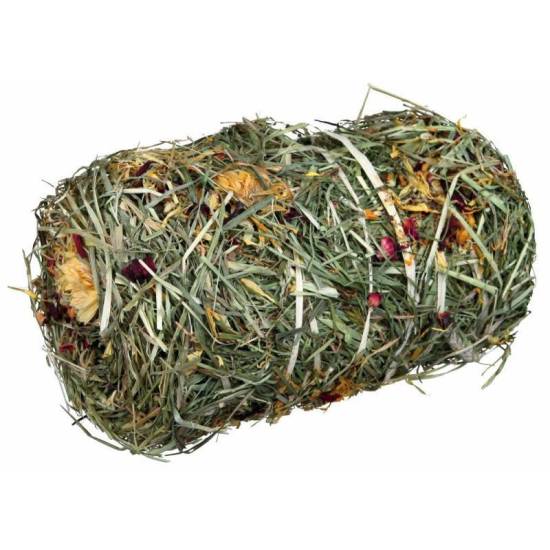 ᐉ какую траву можно давать морским свинкам: таблица разрешенных растений - zoopalitra-spb.ru