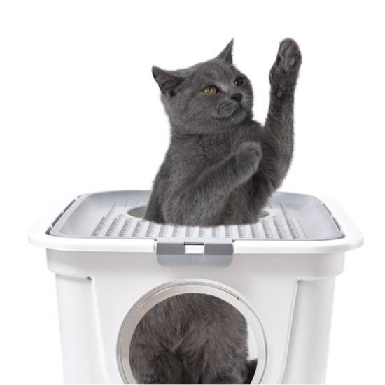 Автоматический туалет для кошек: преимущества и недостатки популярных моделей, в том числе catgenie