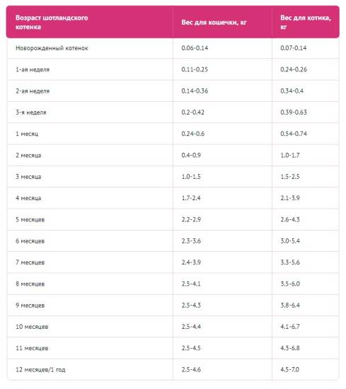 Сколько в норме весит кот: таблица веса кошек по возрасту, нормальная масса тела и причины отклонения от нее