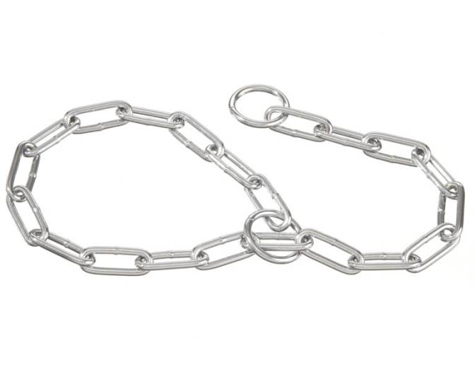 Ошейники для собак: виды, отличительные характеристики и особенности