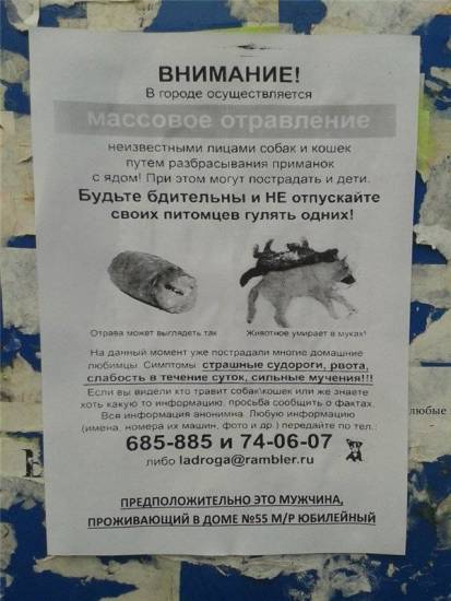Природные токсины в продуктах питания