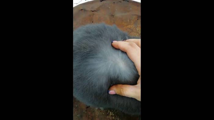 Как избежать выпадения волос: что такое алопеция, почему выпадают волосы