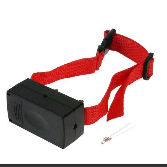 Электрошоковый ошейник – пытка для вашей собаки! вся правда о том, как работает это "украшение"