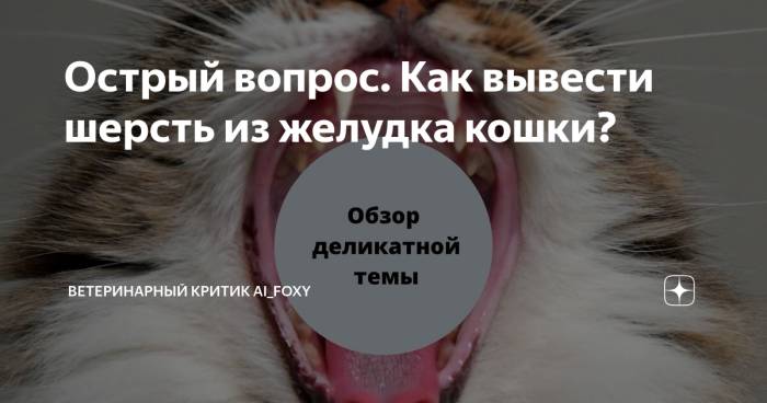 Выведение шерсти из желудка кошки и собаки