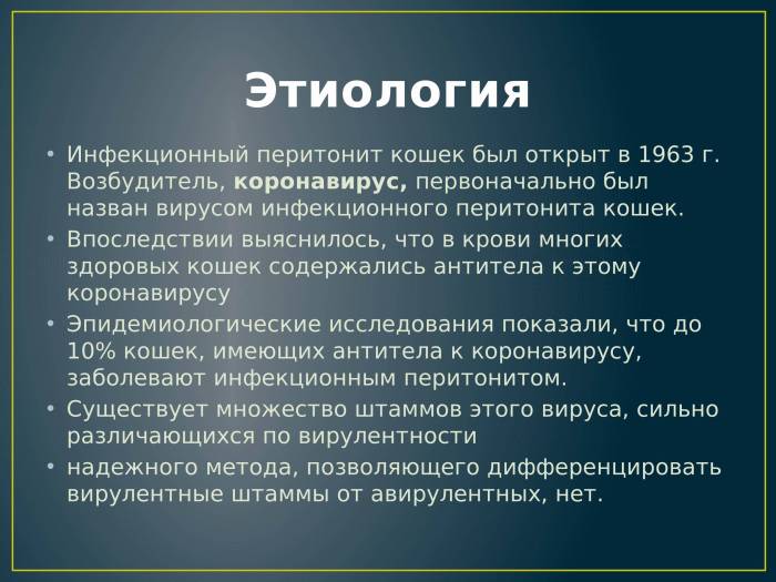 Перитонит у кошек: симптомы и лечение вирусного заболевания