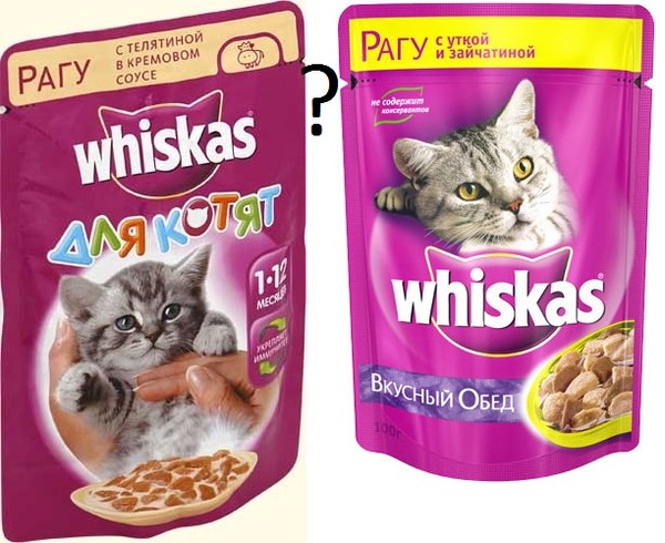 Размачивать сухой корм кошкам | мои домашние питомцы