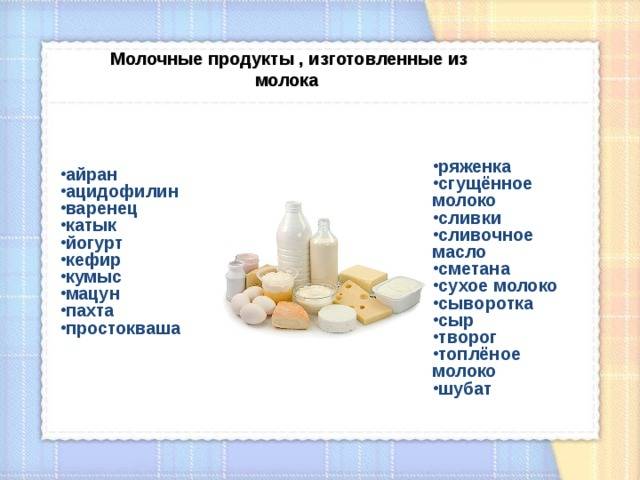 Можно ли хомякам молоко?