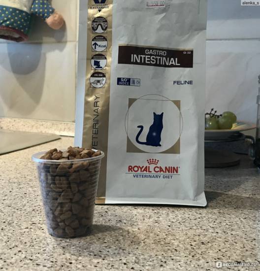 Роял канин гастро интестинал для кошек: состав корма