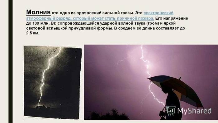 Если собака боится грозы: ветеринар рассказал как успокоить питомца без лекарств - досуг