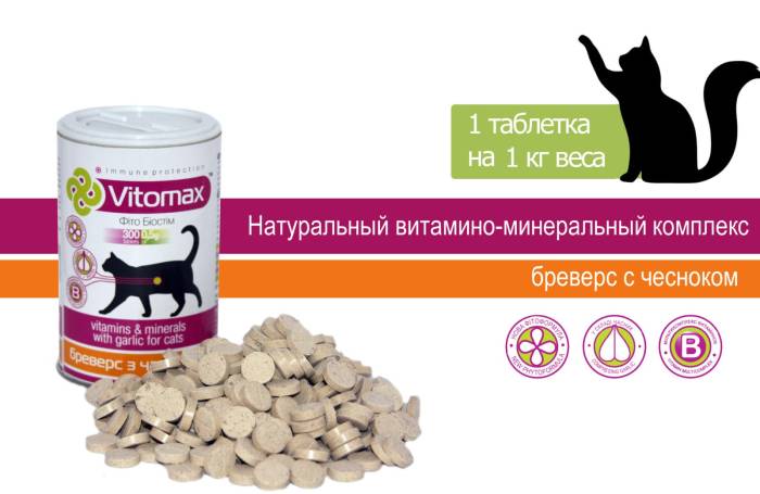 Какие витамины нужны кошкам?