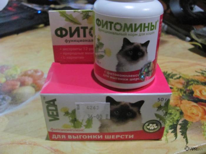 Витамины для кошек и котов: от выпадения шерсти, для иммунитета и других целей, обзор препаратов для взрослых животных и котят, отзывы