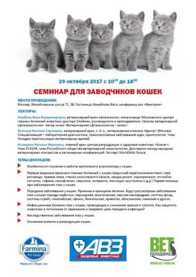 Питомник для собак: руководство по открытию