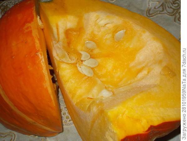 Можно ли хомякам арбуз, корки и арбузные семечки вред для джунгариков и сирийских хомяков