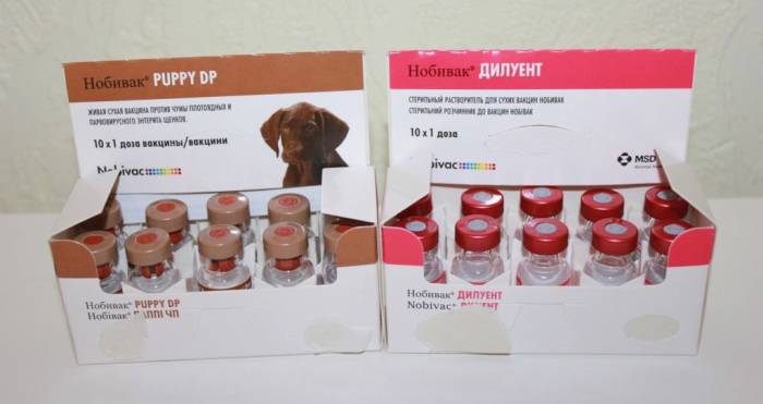 Вакцина нобивак.