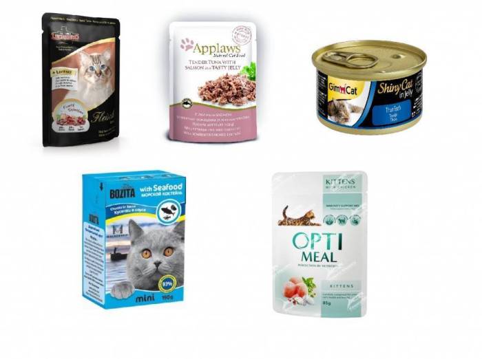 Гипоаллергенный корм для кошек: какой лучше