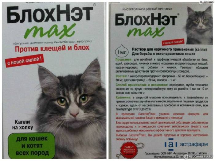 Блохнэт: отзывы и инструкция по применению