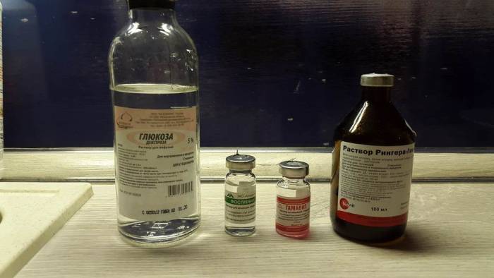 Инструкция по применению глюкозы подкожно кошке или котенку с дозировками, показания и противопоказания