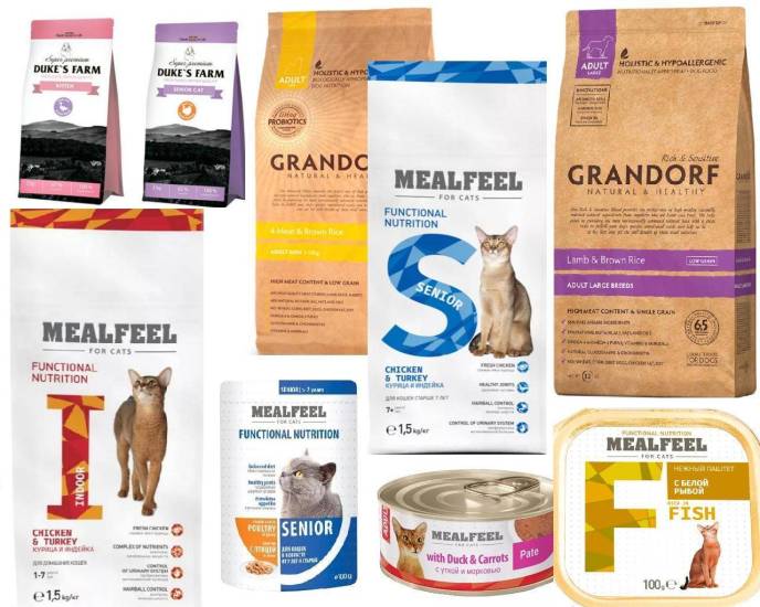 Корм для котят: какой лучше, рейтинг сухих и жидких вариантов