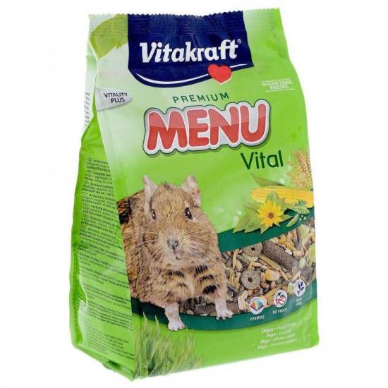 Чем кормить дегу