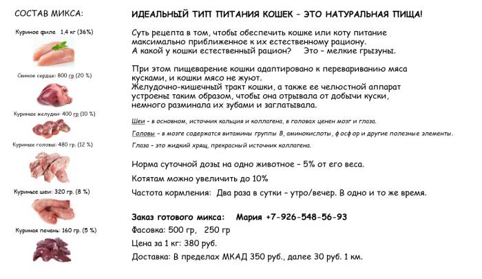 Чем кормить британскую кошку