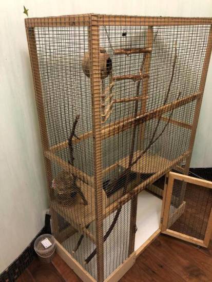 ᐉ опоссум содержание в домашних условиях, поссум дома - zooshop-76.ru