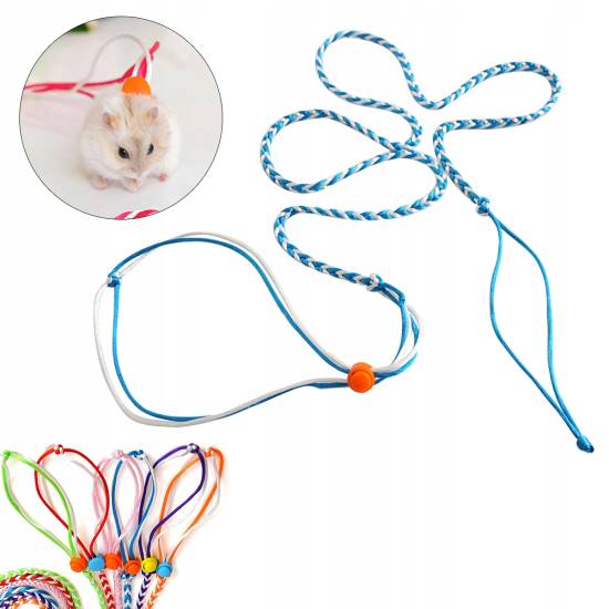 Поводок (шлейка) для хомяка: зачем нужен, какие бывают, как сделать своими руками