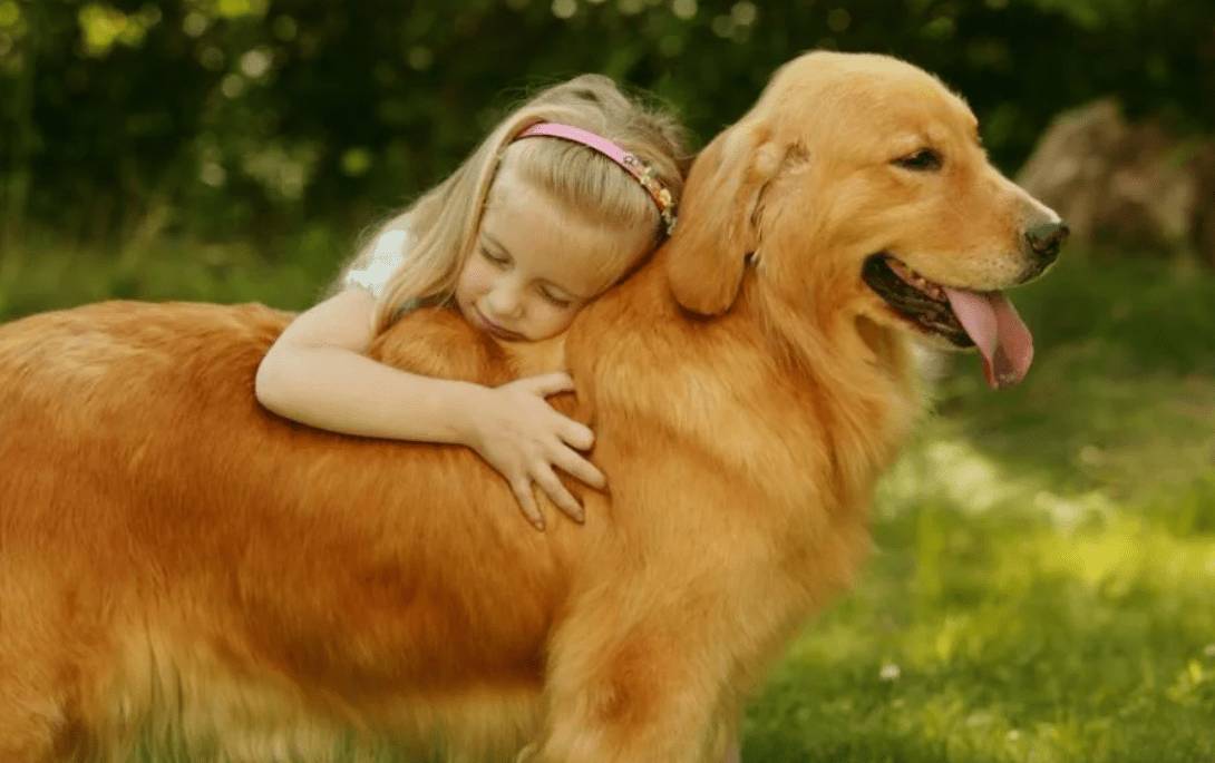 Топ-50 лучших пород собак для семей с детьми