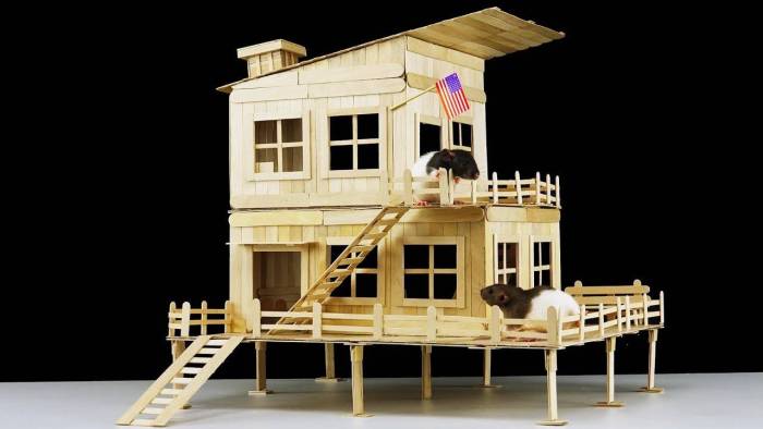 Домик для хомяка: как выбрать, как сделать своими руками