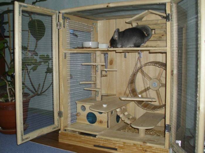 Как обустроить клетку для шиншиллы: как выбрать клетку, обустраиваем клетку правильно