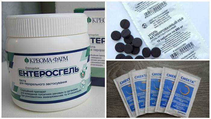 Как вылечить диарею у кота – эффективные способы