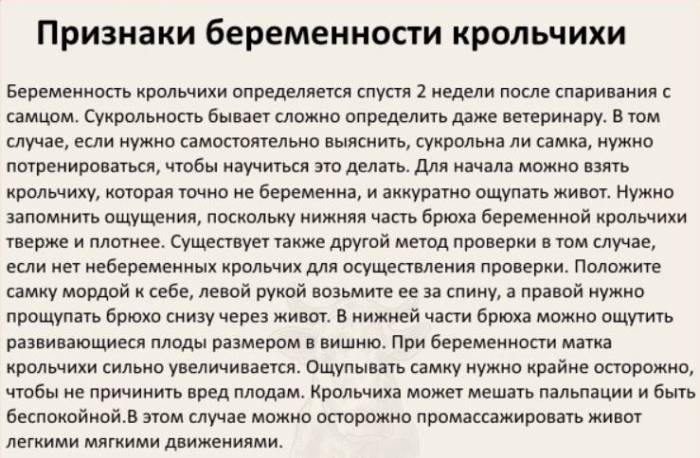 Сколько кролик вынашивает крольчат и как помочь с родами?
сколько кролик вынашивает крольчат и как помочь с родами?