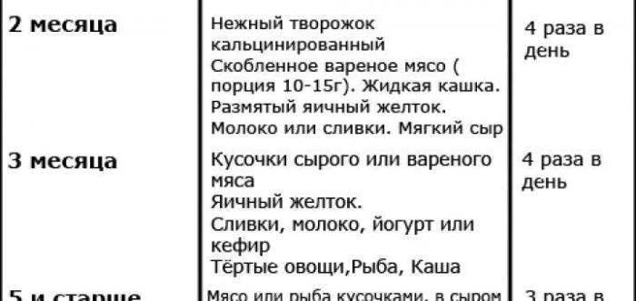 Особенности кормления 3 месячных котят: частота, продукты, рацион
